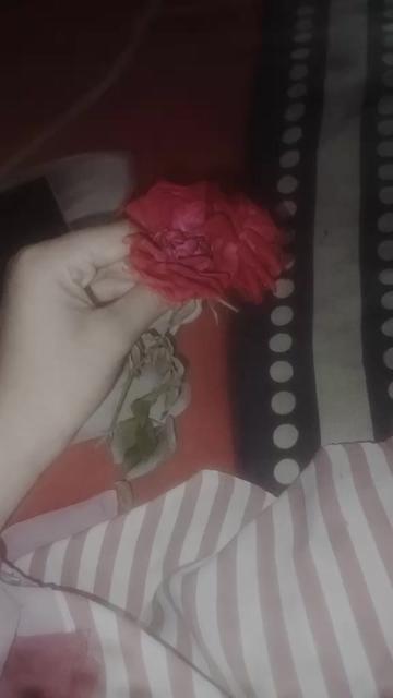 @Mim 🌷🌸
