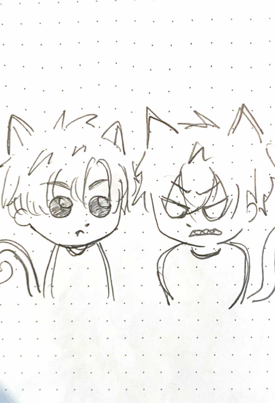 @Yokoo ≧◡≦!!