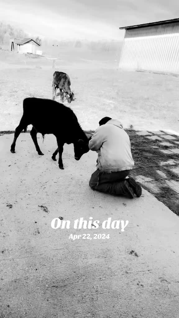 @|| Kori Jean 🐮 ||
