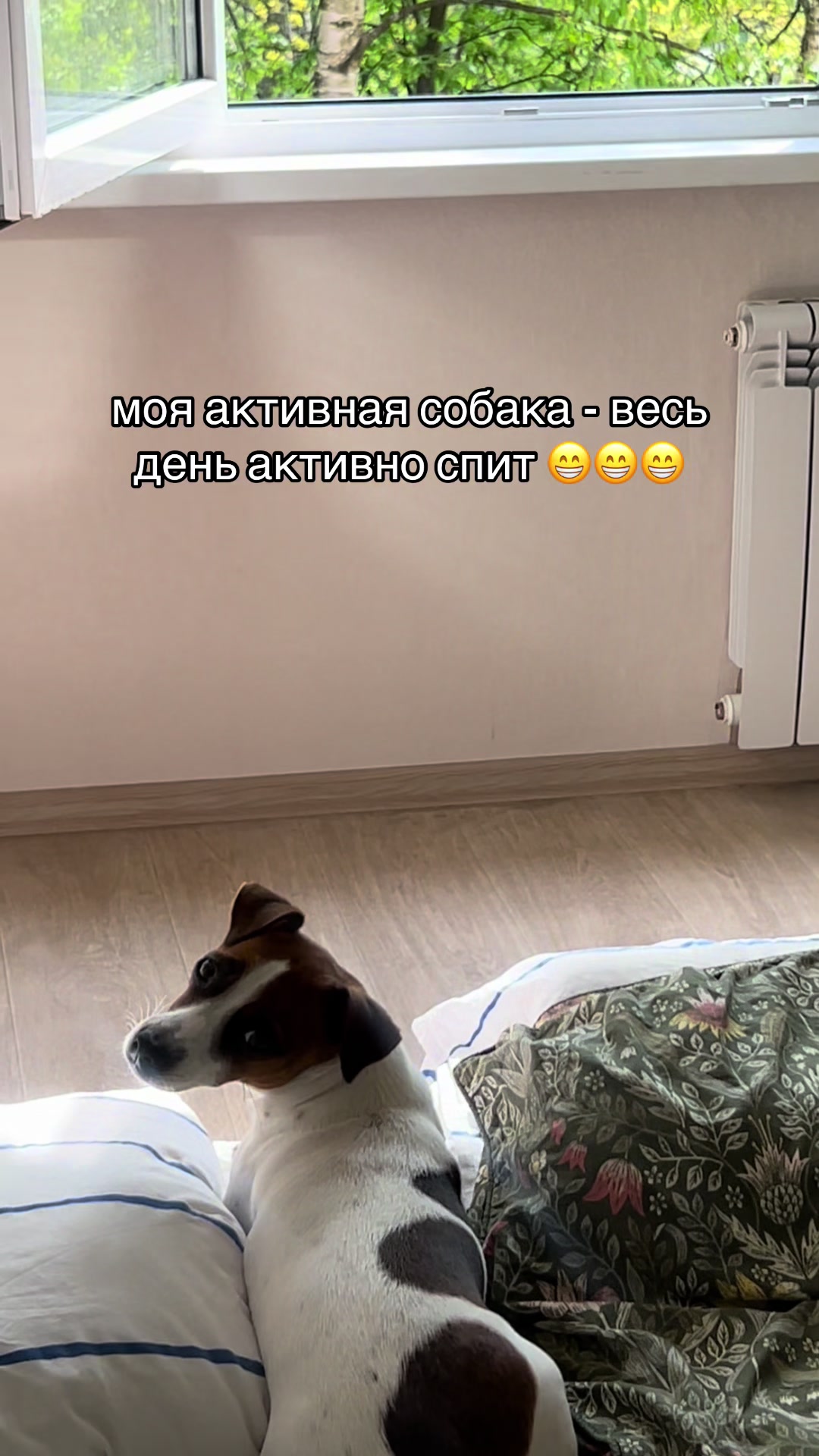 @Ольга психолог и Элли 🐶