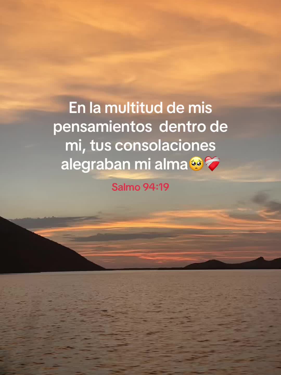 @miza M