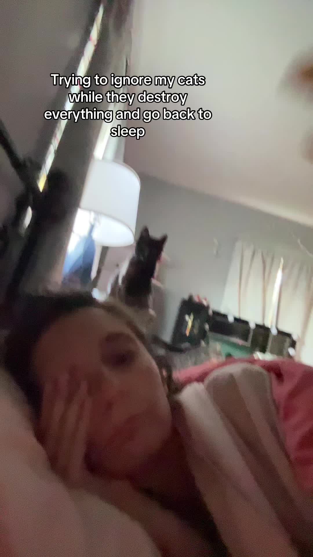 @Gitel_Mom