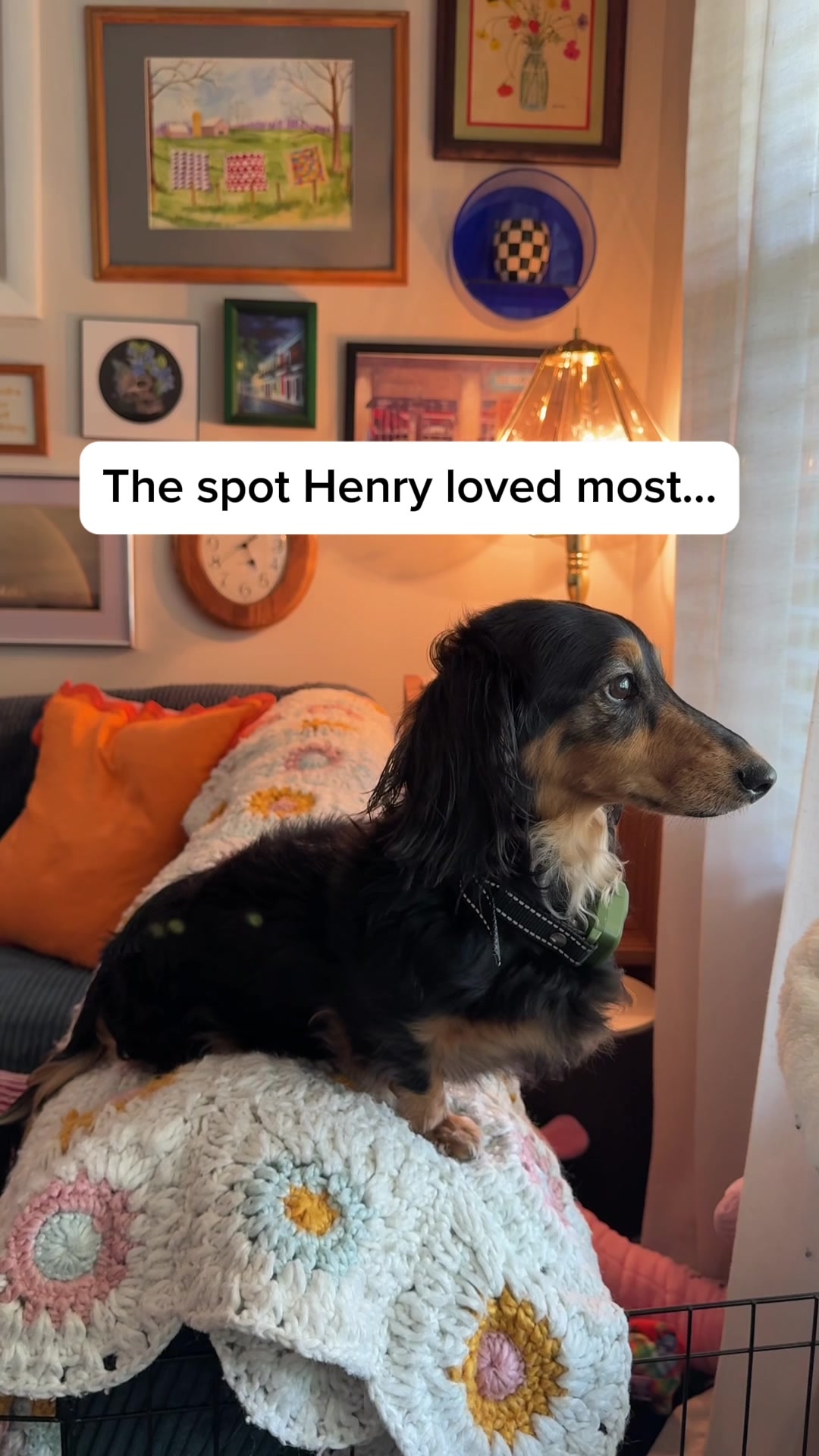 @henryshuman