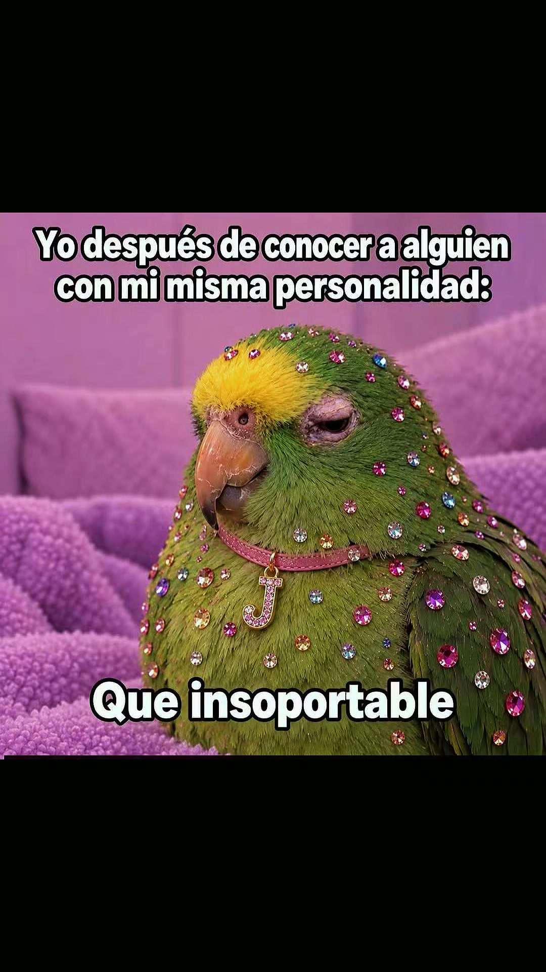 @Laura Montalvo