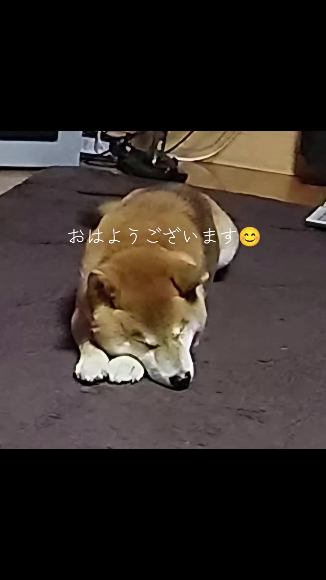 @チルチルみちる