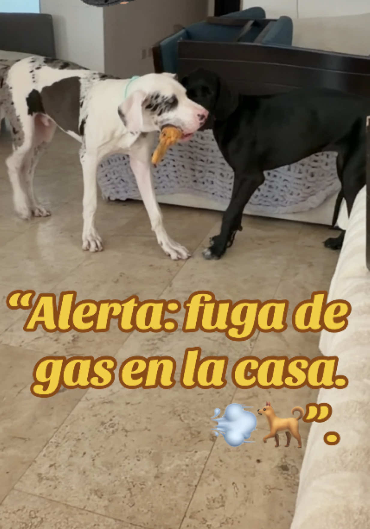 @gigante_pero_bebe