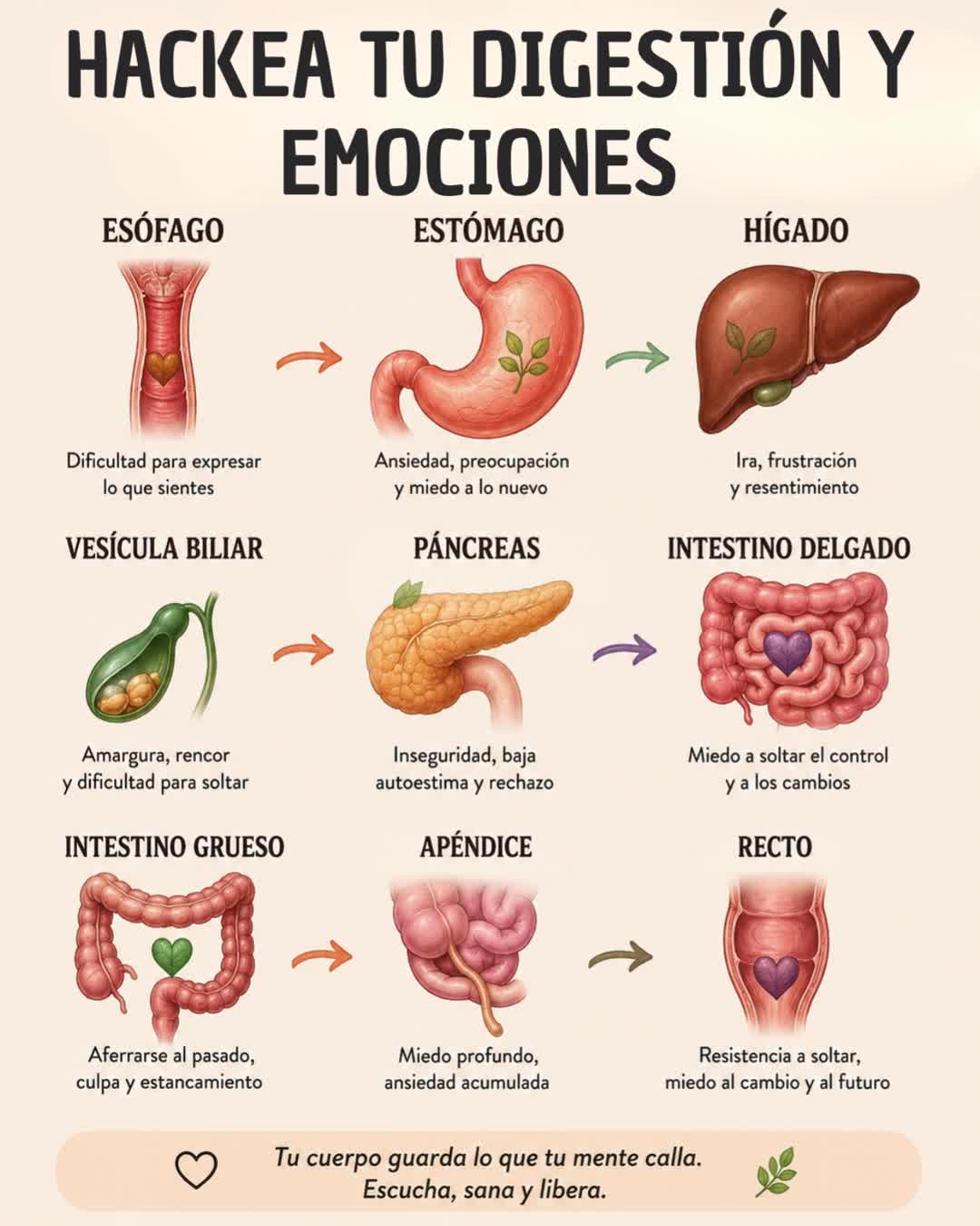 @Dr. Robert Lozano