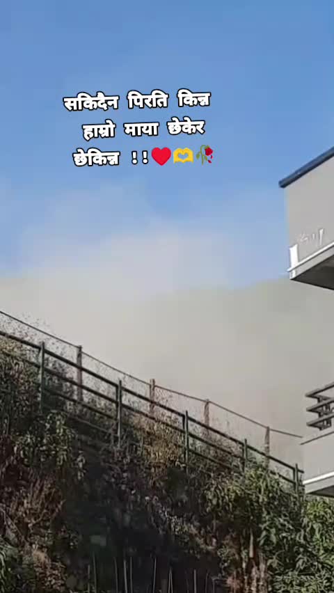 @musi