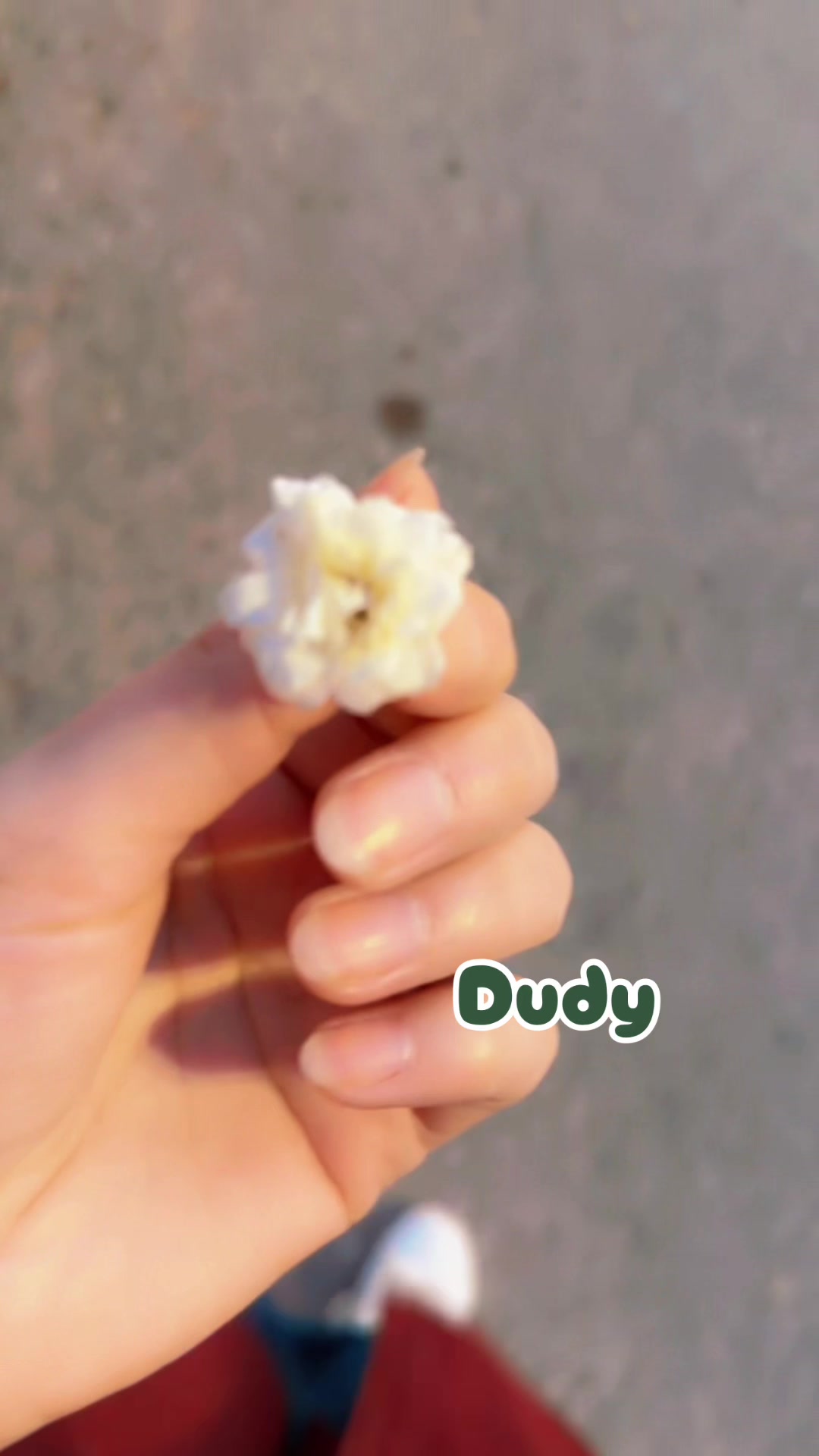 @DUDY_Z