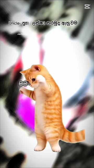 @CHALU 🀄️🤍