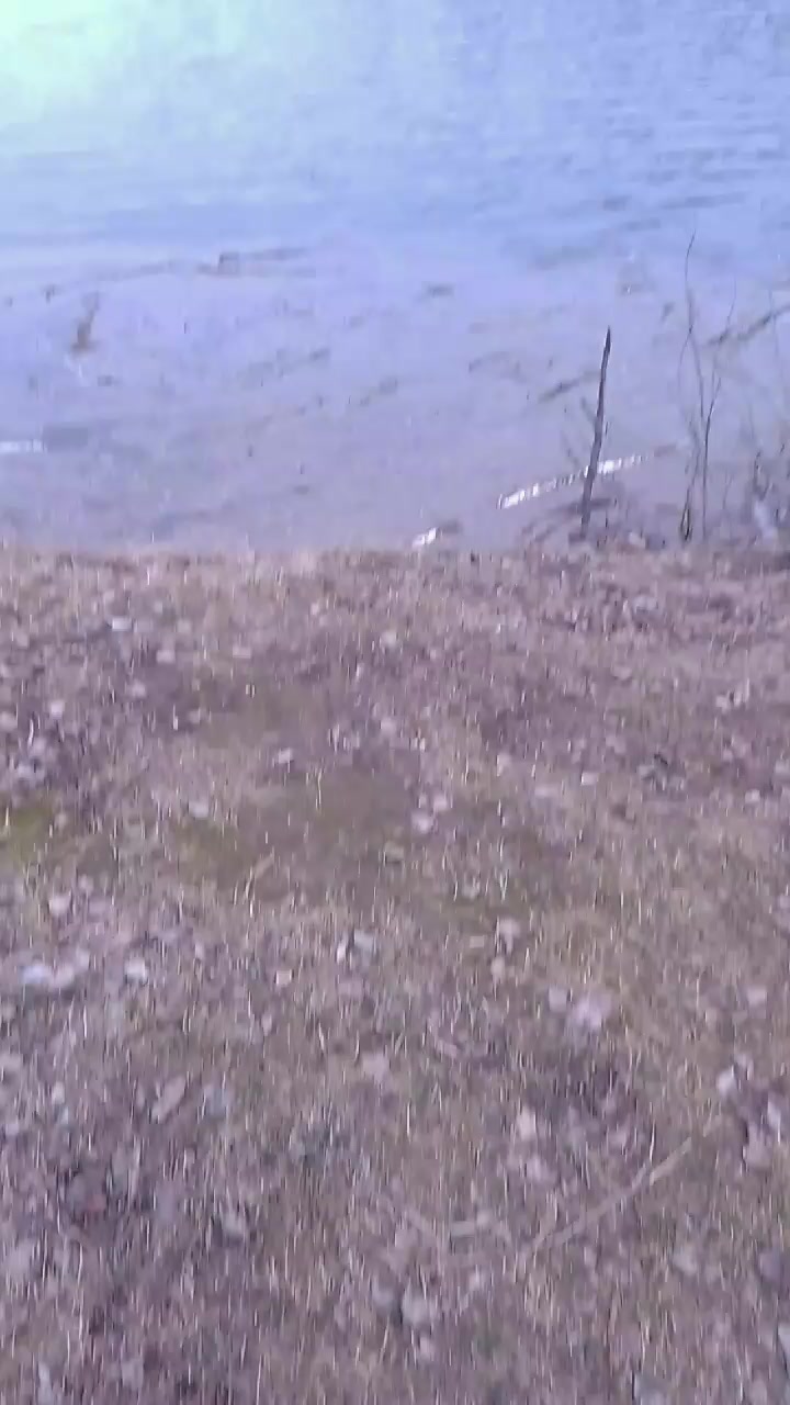 @Балыкчы Малай