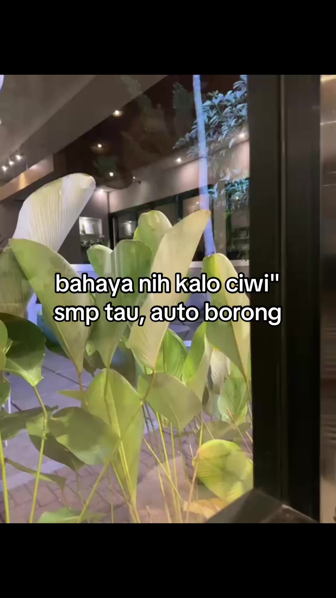 @itsmetressss‼️