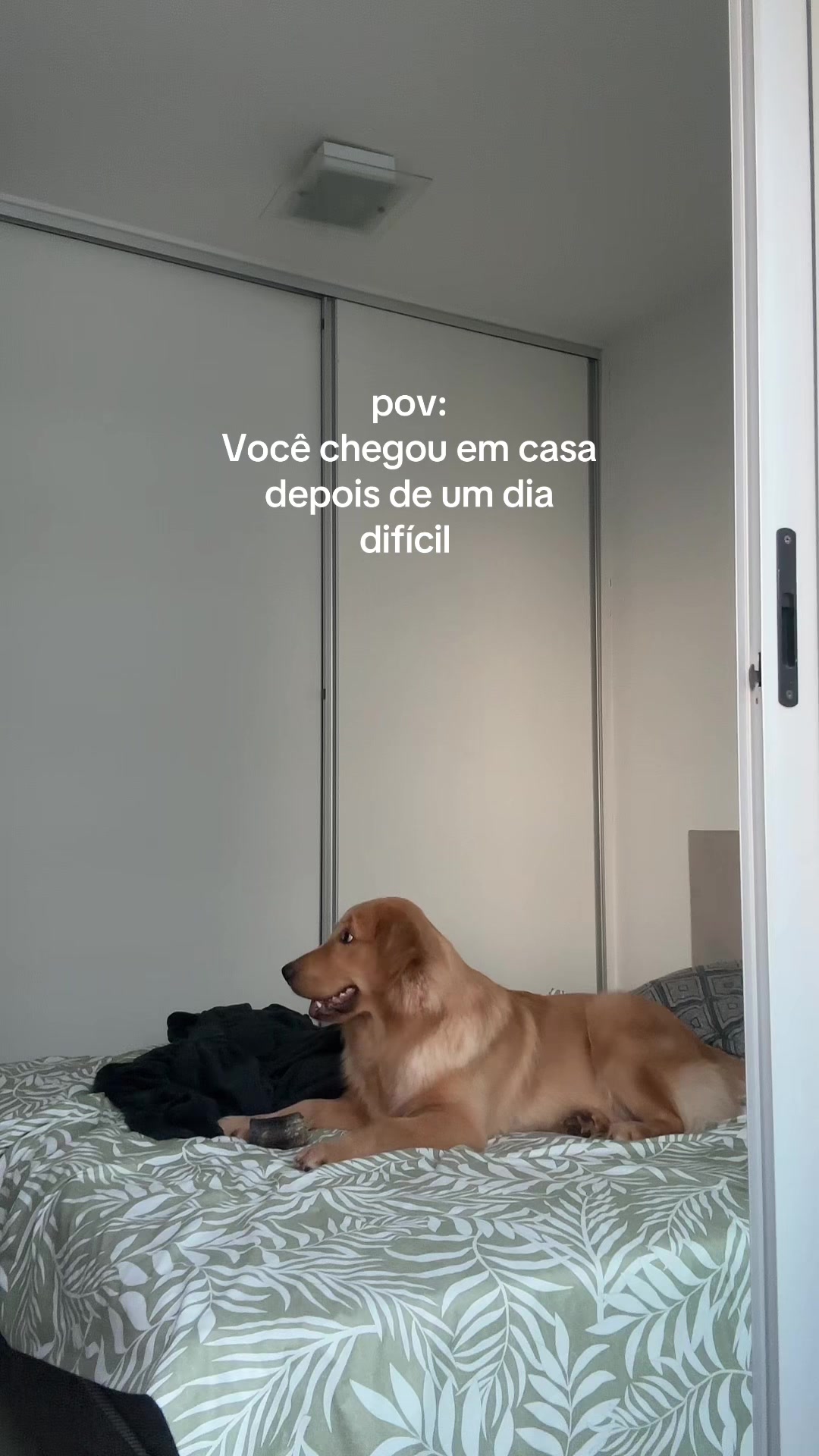 @Carolina Quaranta