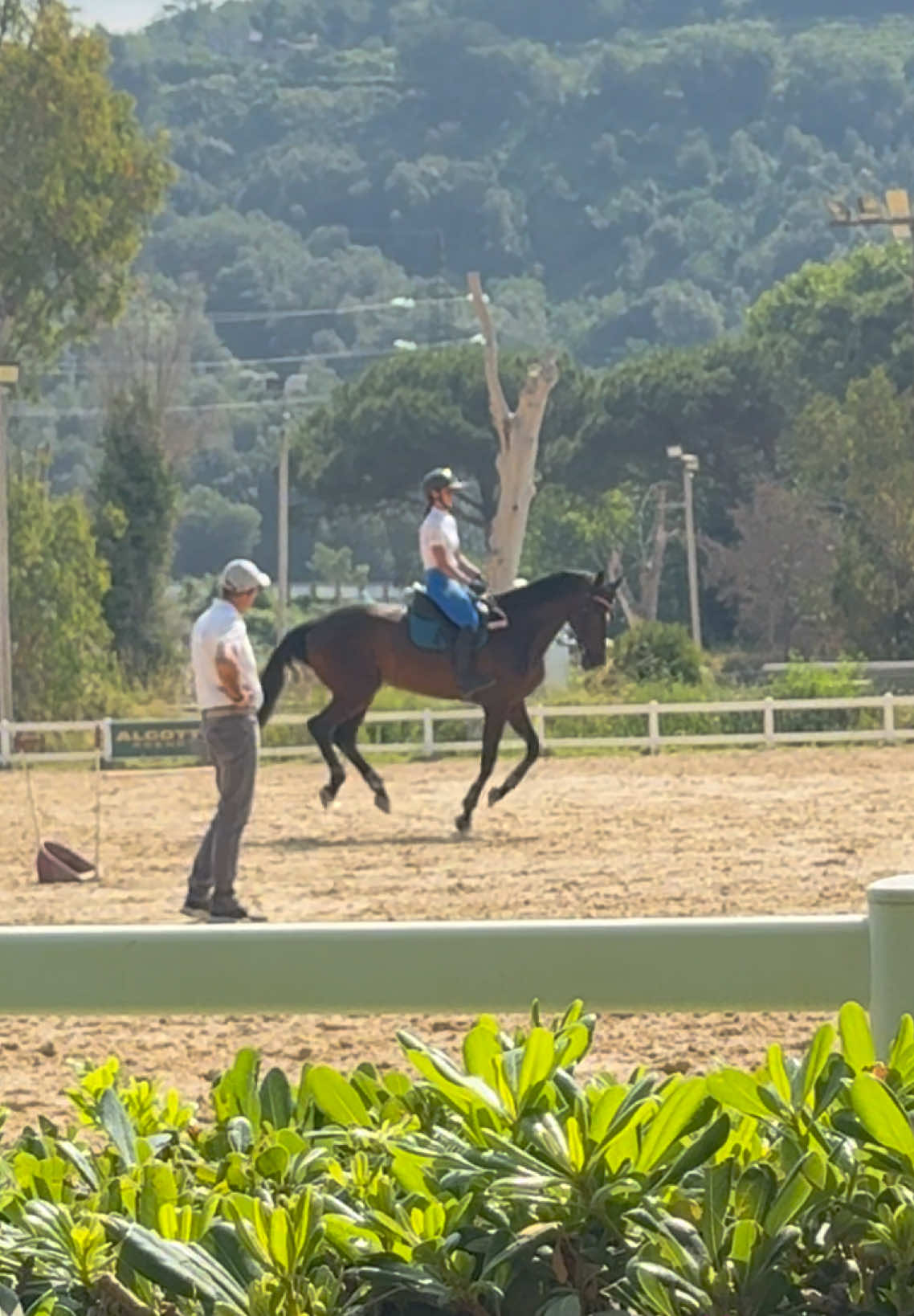 @Fabiana Tuccillo🇮🇹🐴🫀