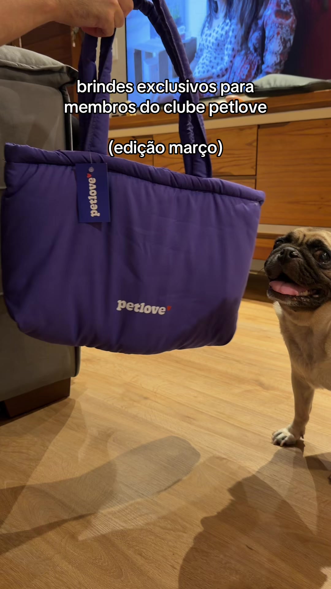 @FRANKINHO