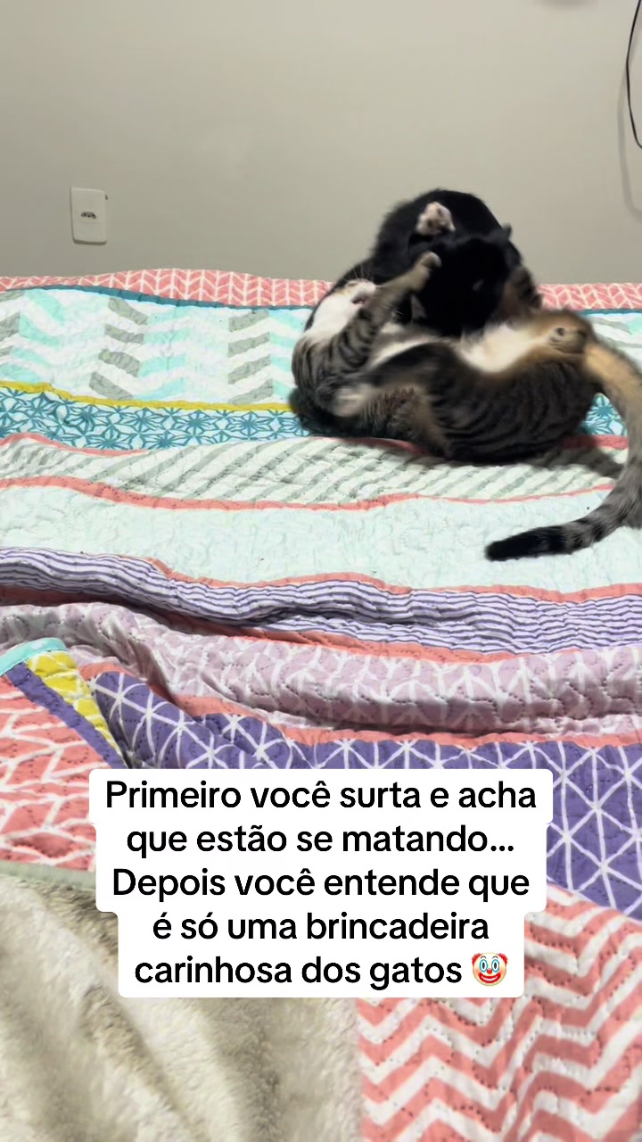 @Mariana Matos ✨