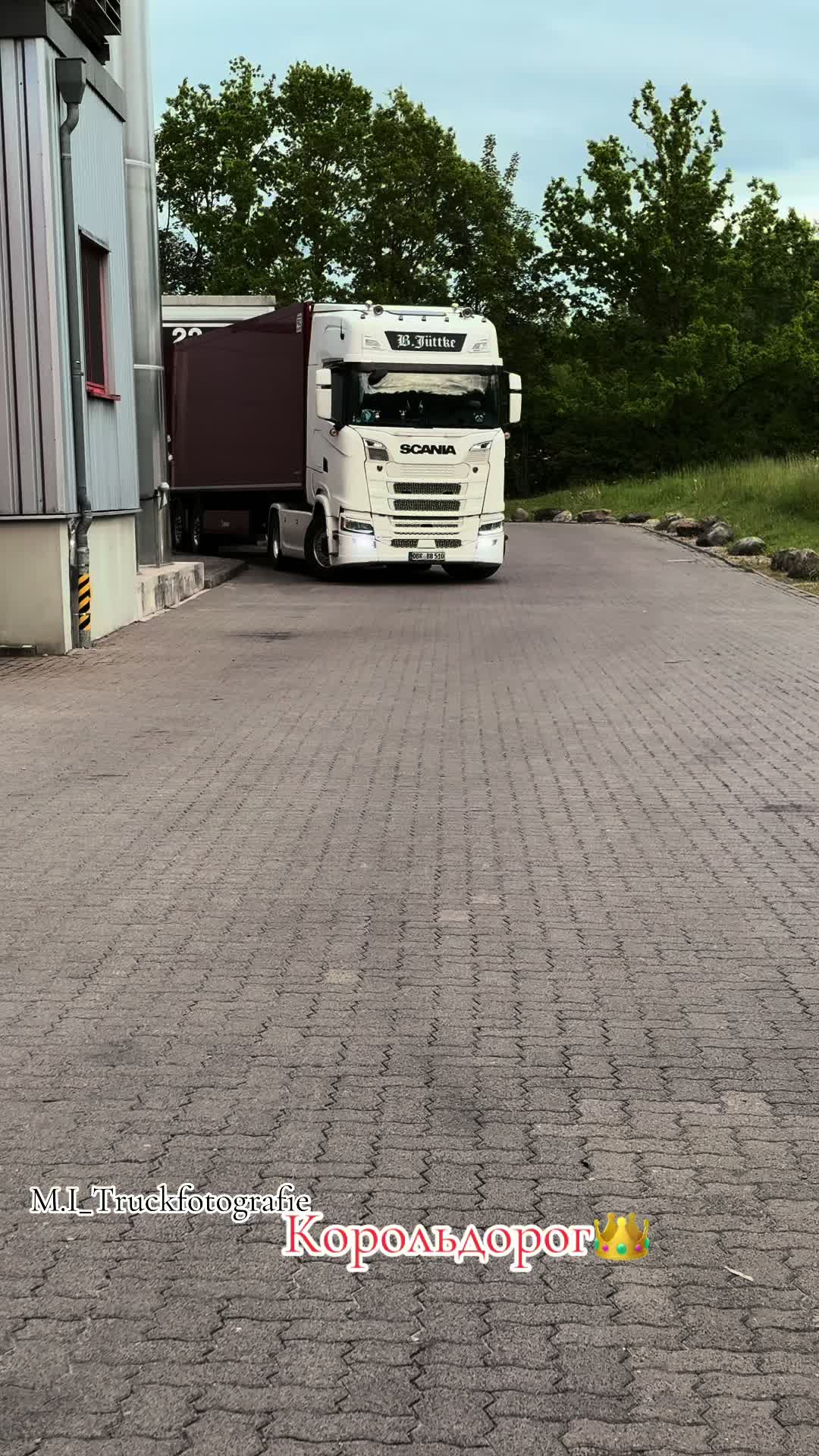 @Корольдорог👑