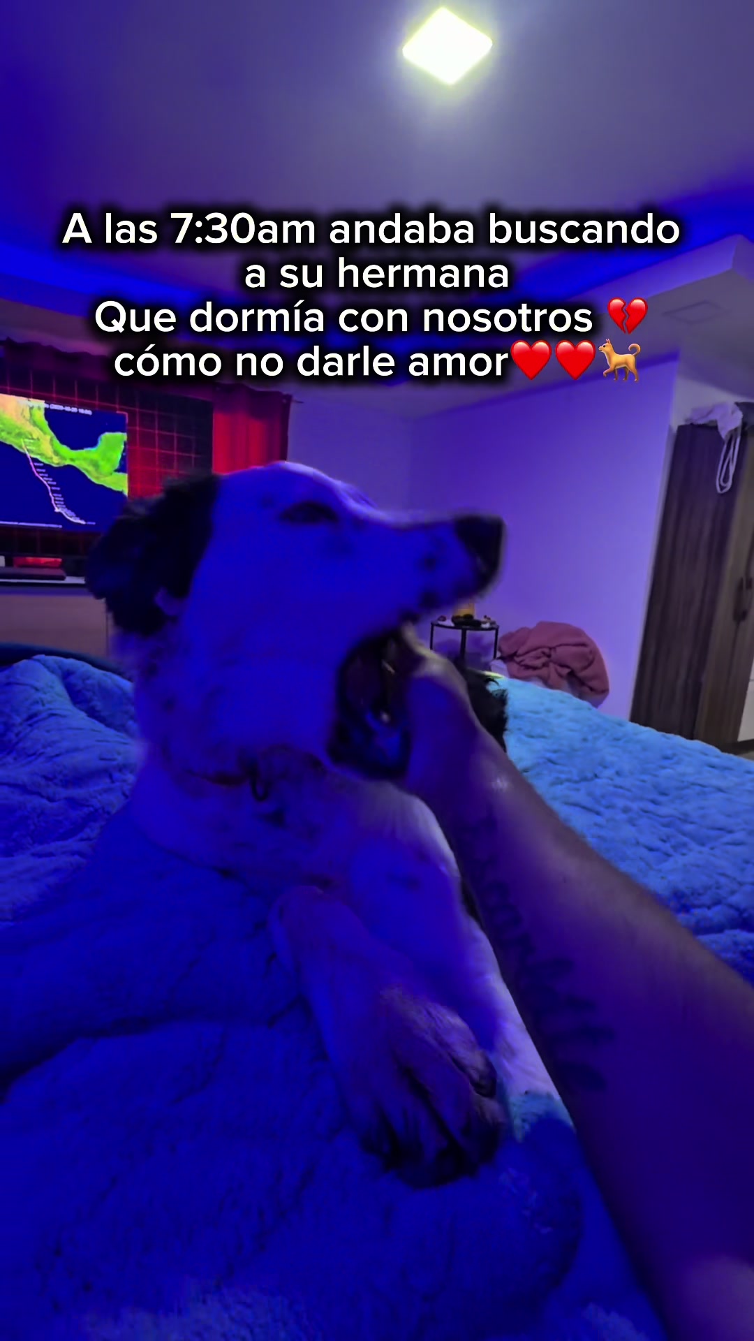 @Felipe miralles Tío Reycar