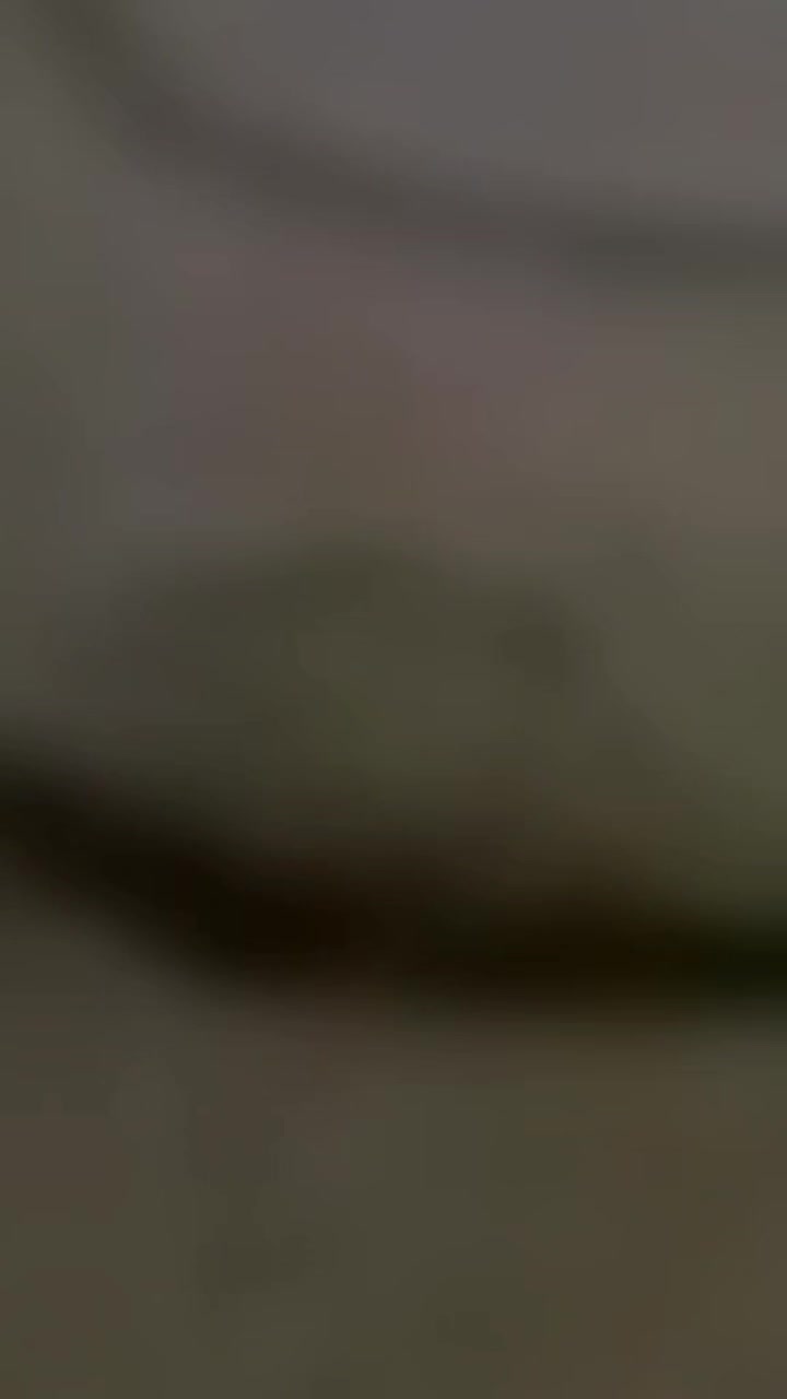 @zawar qambr abaas 5
