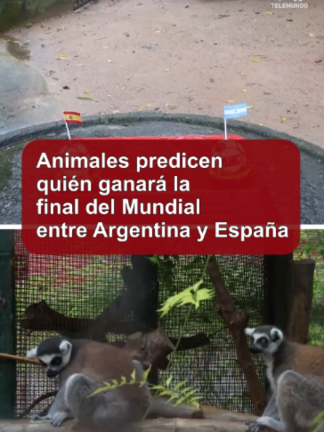 @Telemundo47