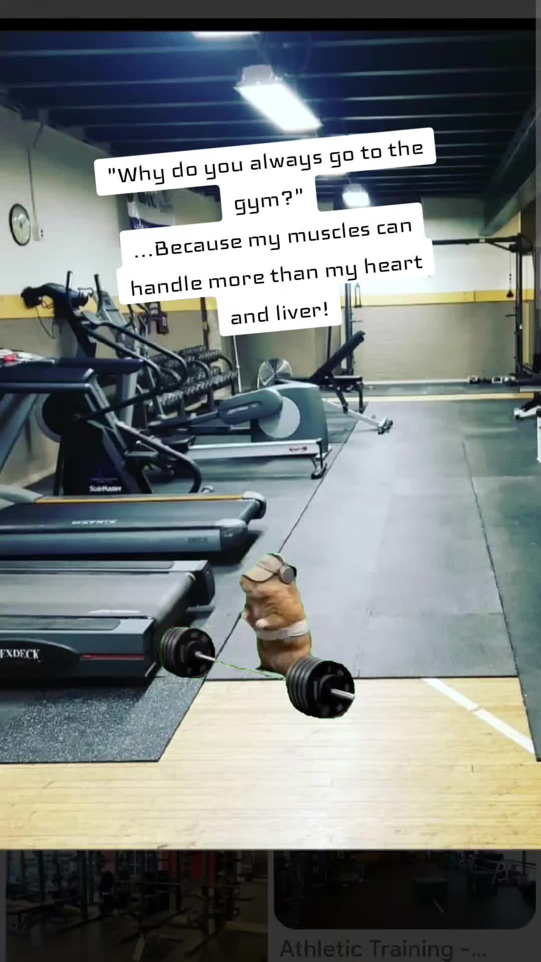 @LauraLynn❌️