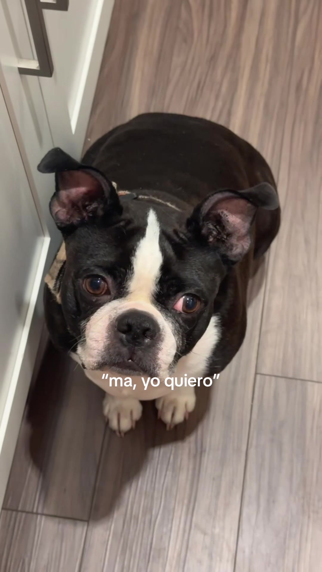 @us_thefour