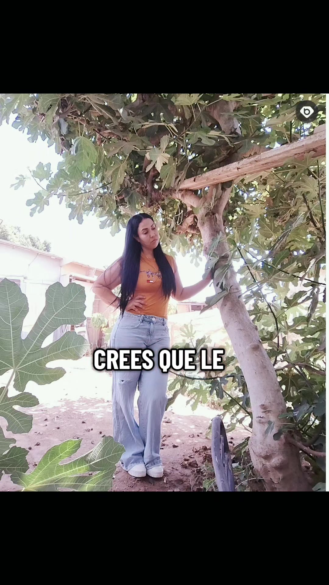 @Rossy Naviidad