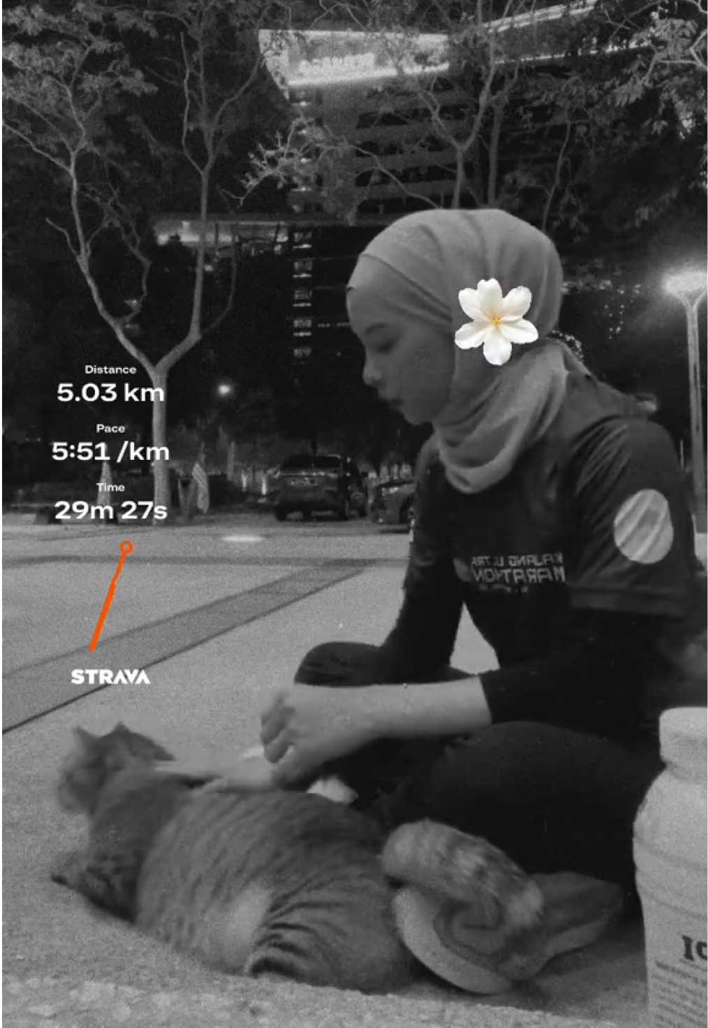 @- qiela