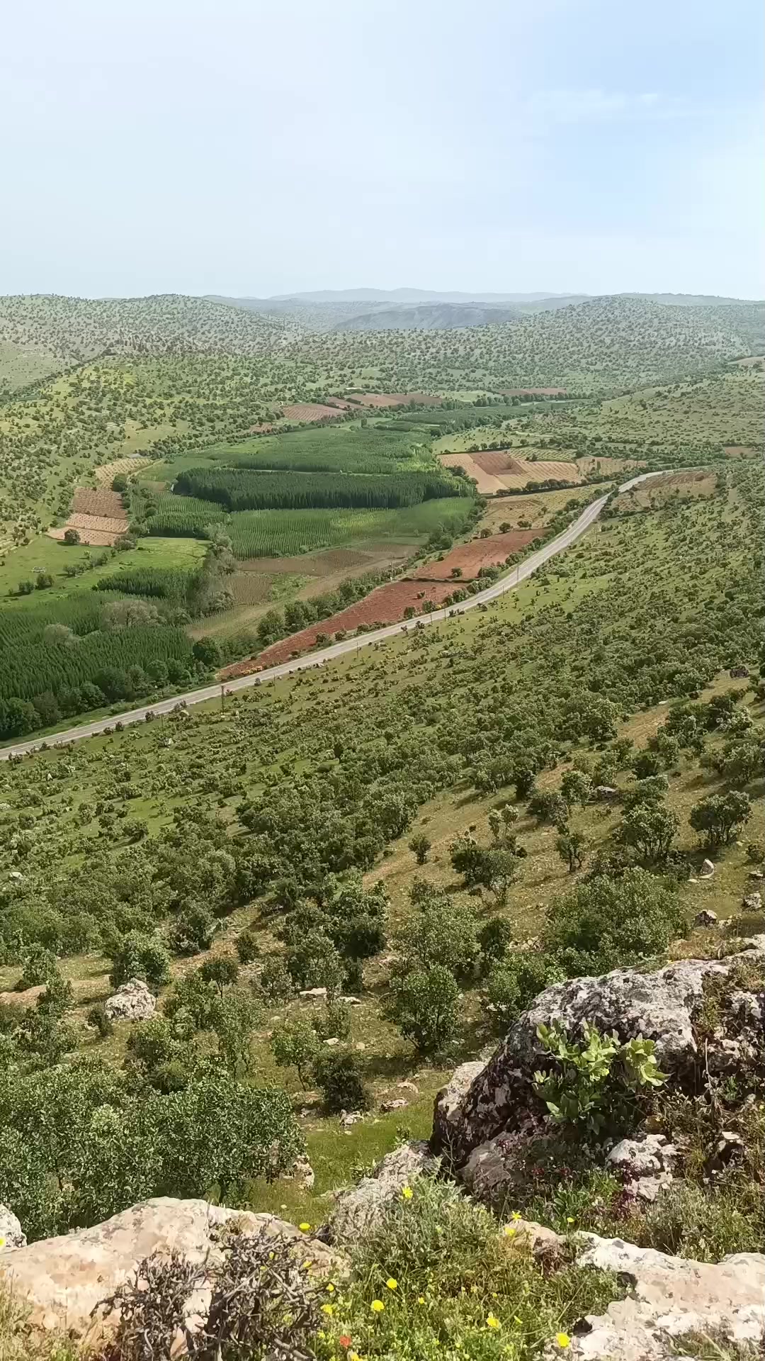 @Abdurrahim g&uuml;l