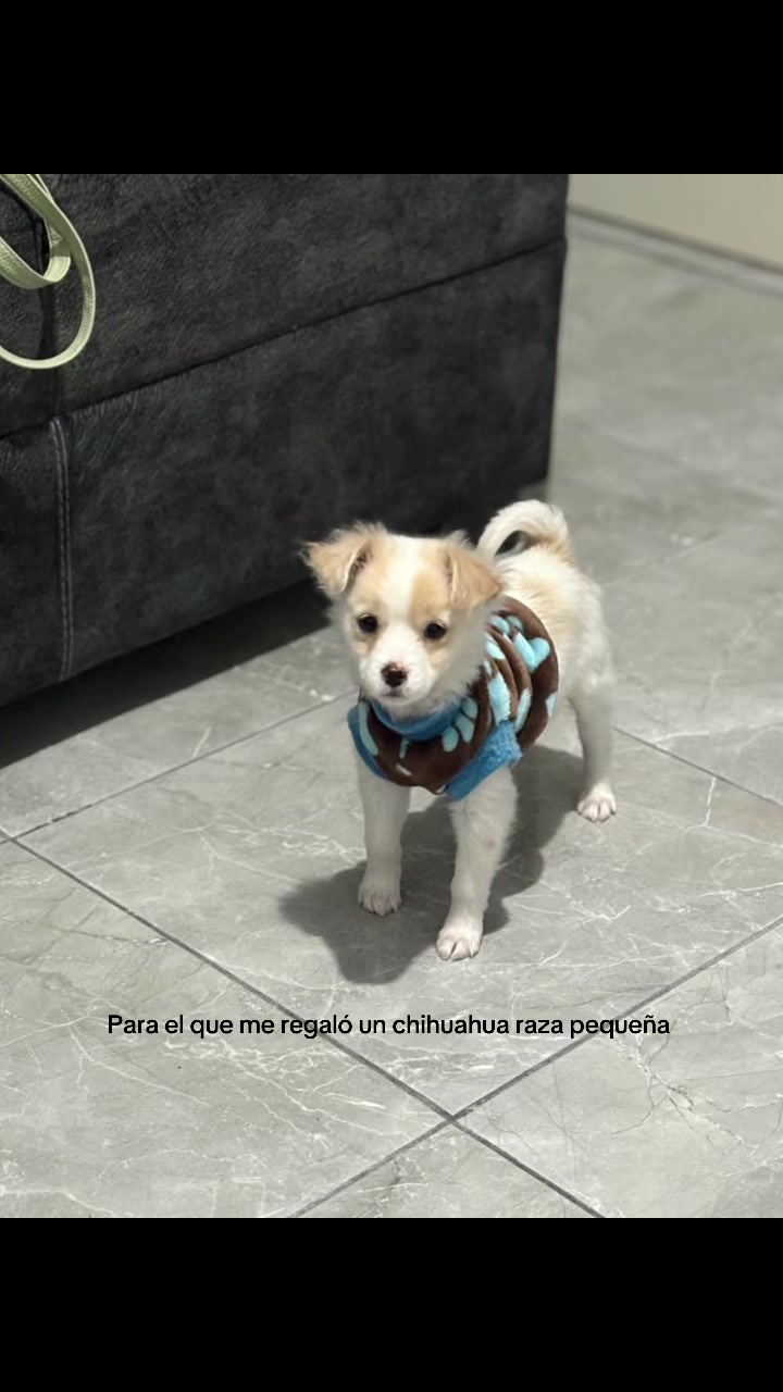 @Paola Salas