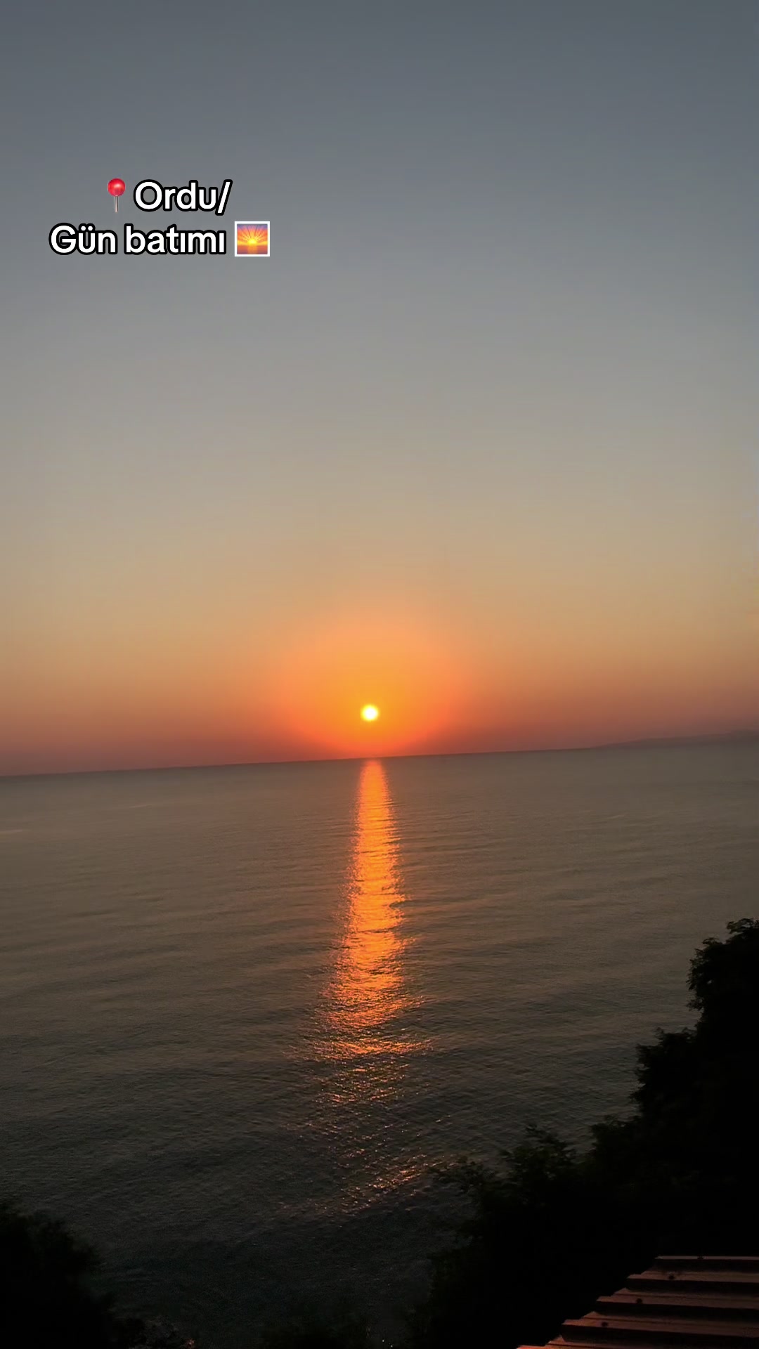 @pınar deniz