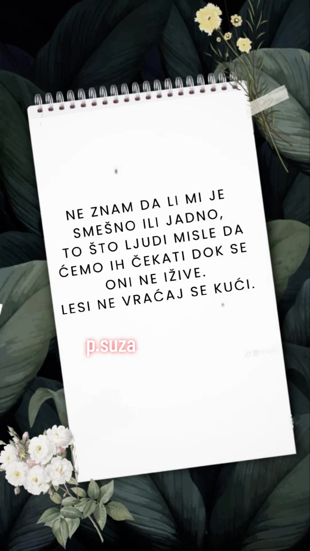 @Suza73 Pavlovic