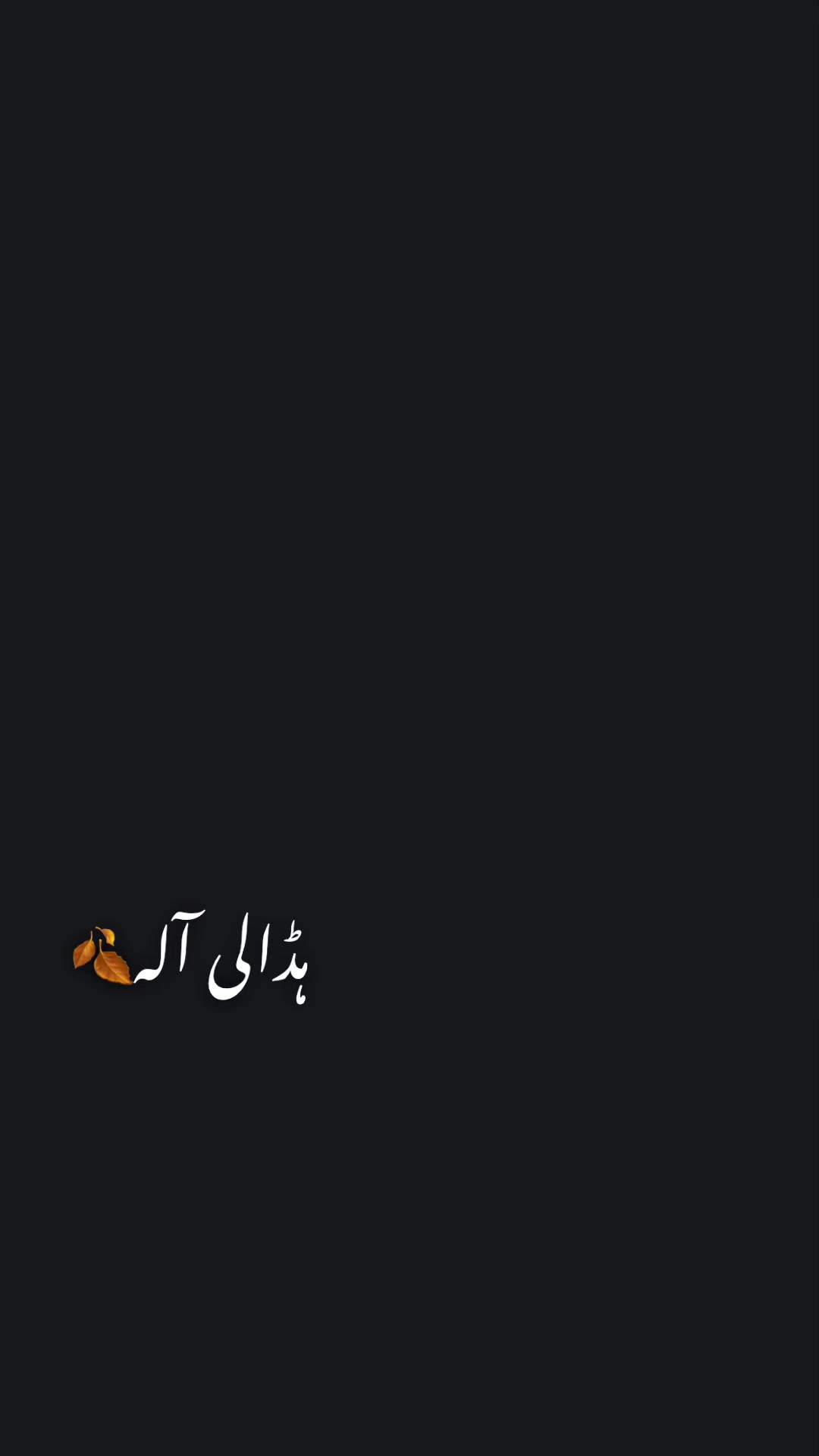 @✨🦅دلاورٹوانہ ہڈالی آلہ🦅✨