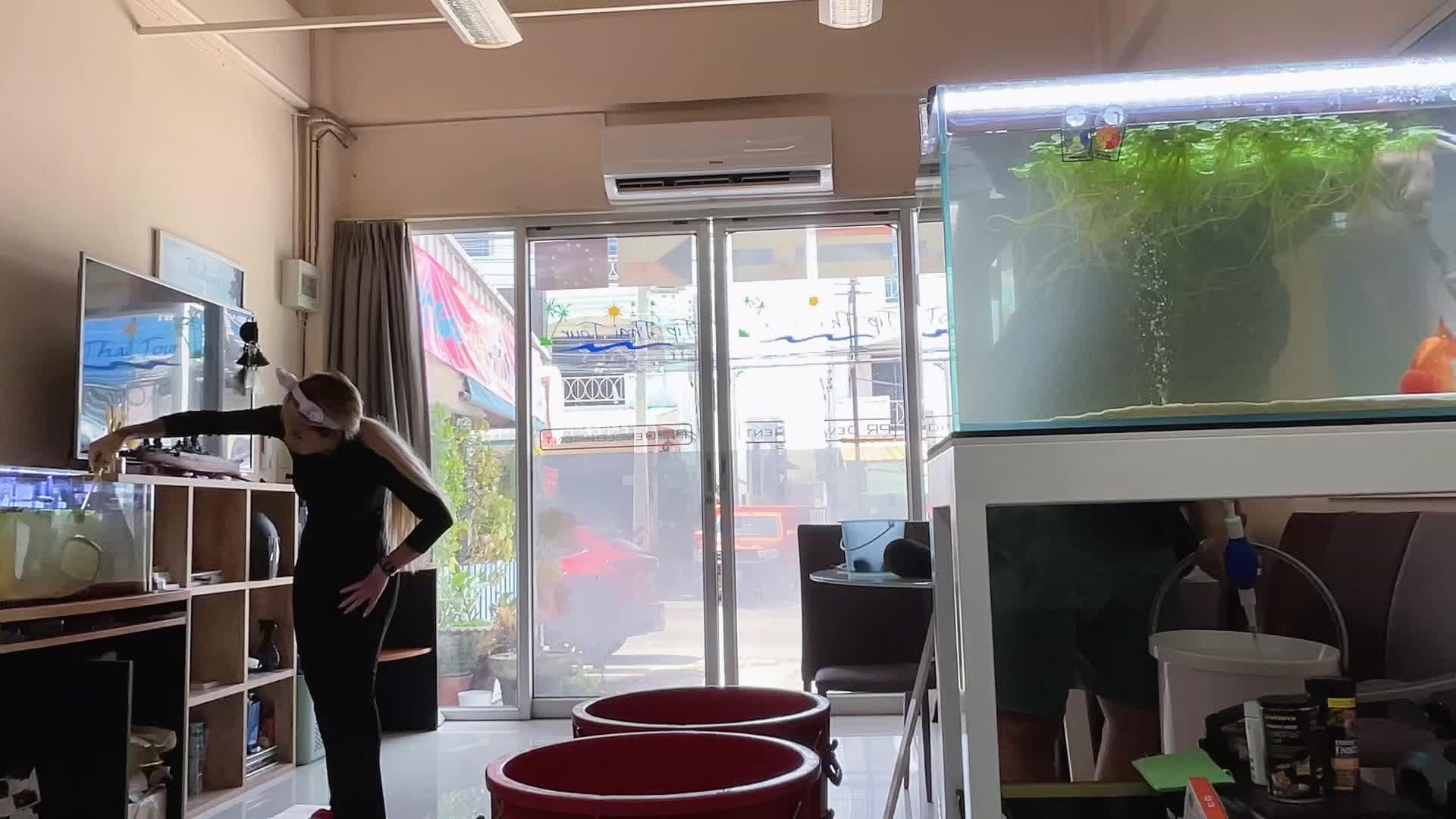 @Sendaii