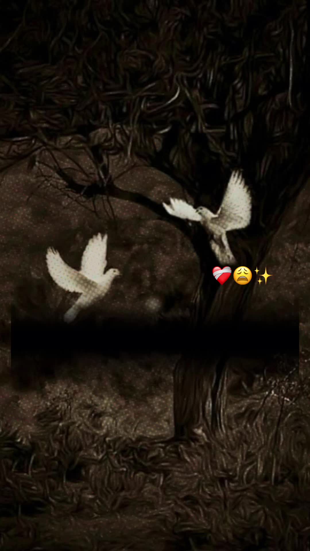 @🖤🥀