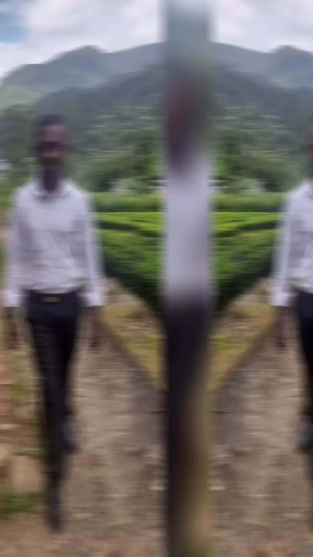 @mohan mohan
