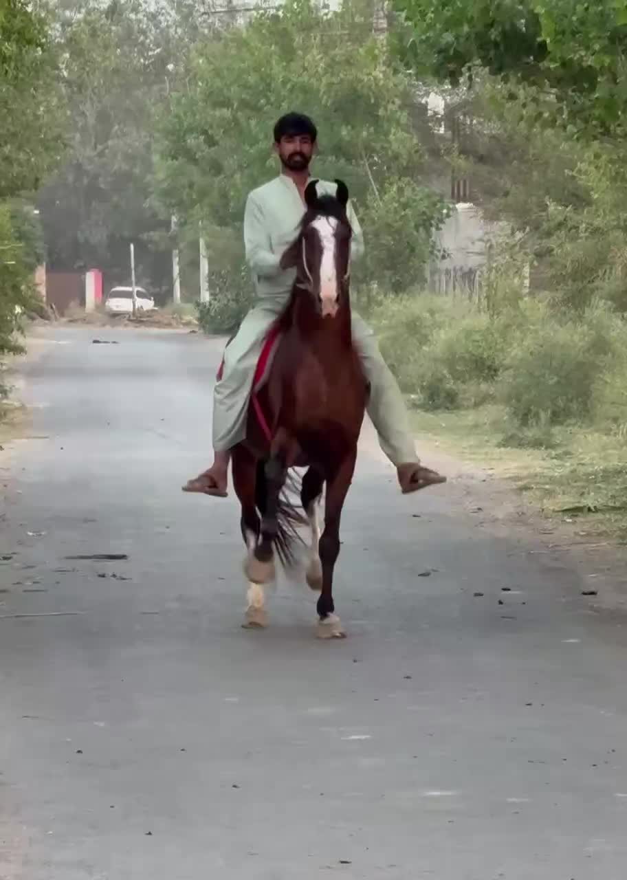 @Rai MUNAWAR SULTAN MANJ