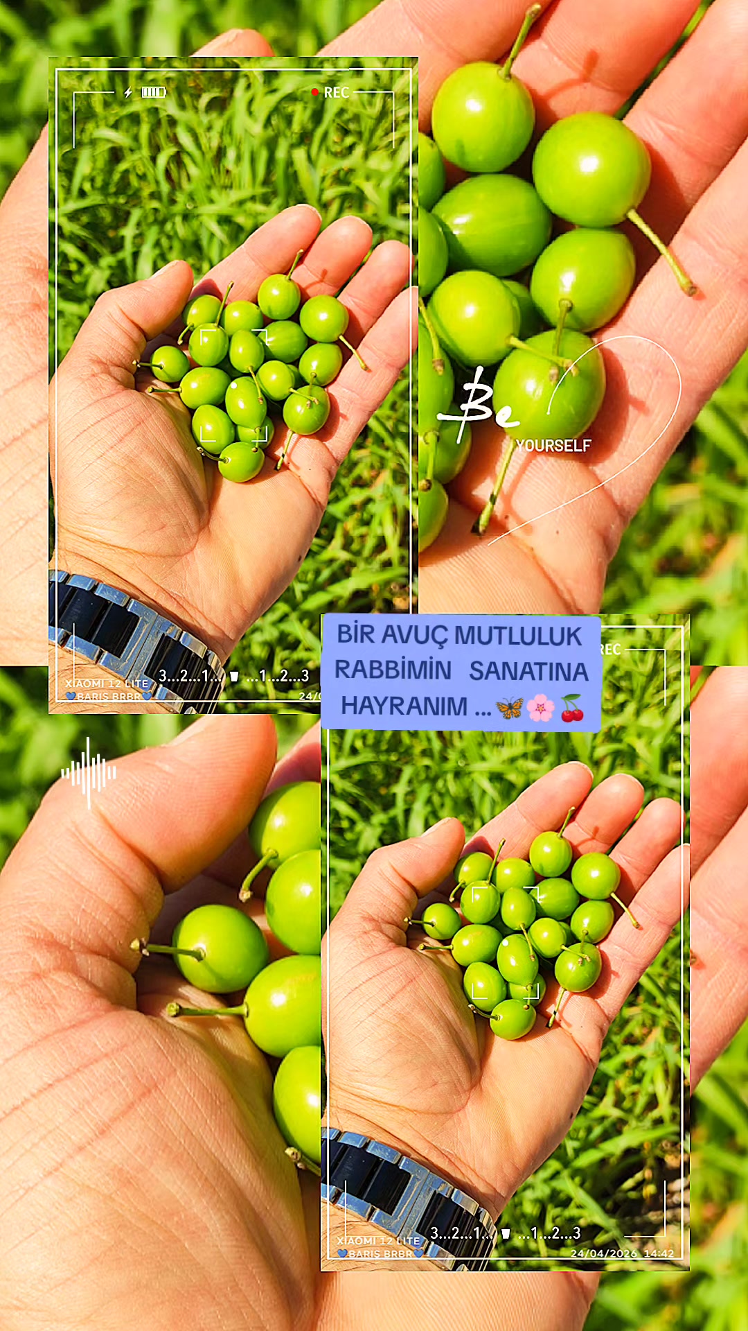 @barışakat