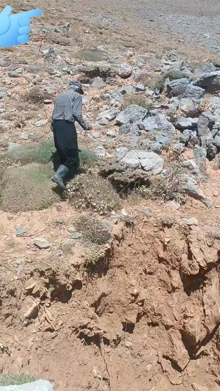 @DAĞCI.46