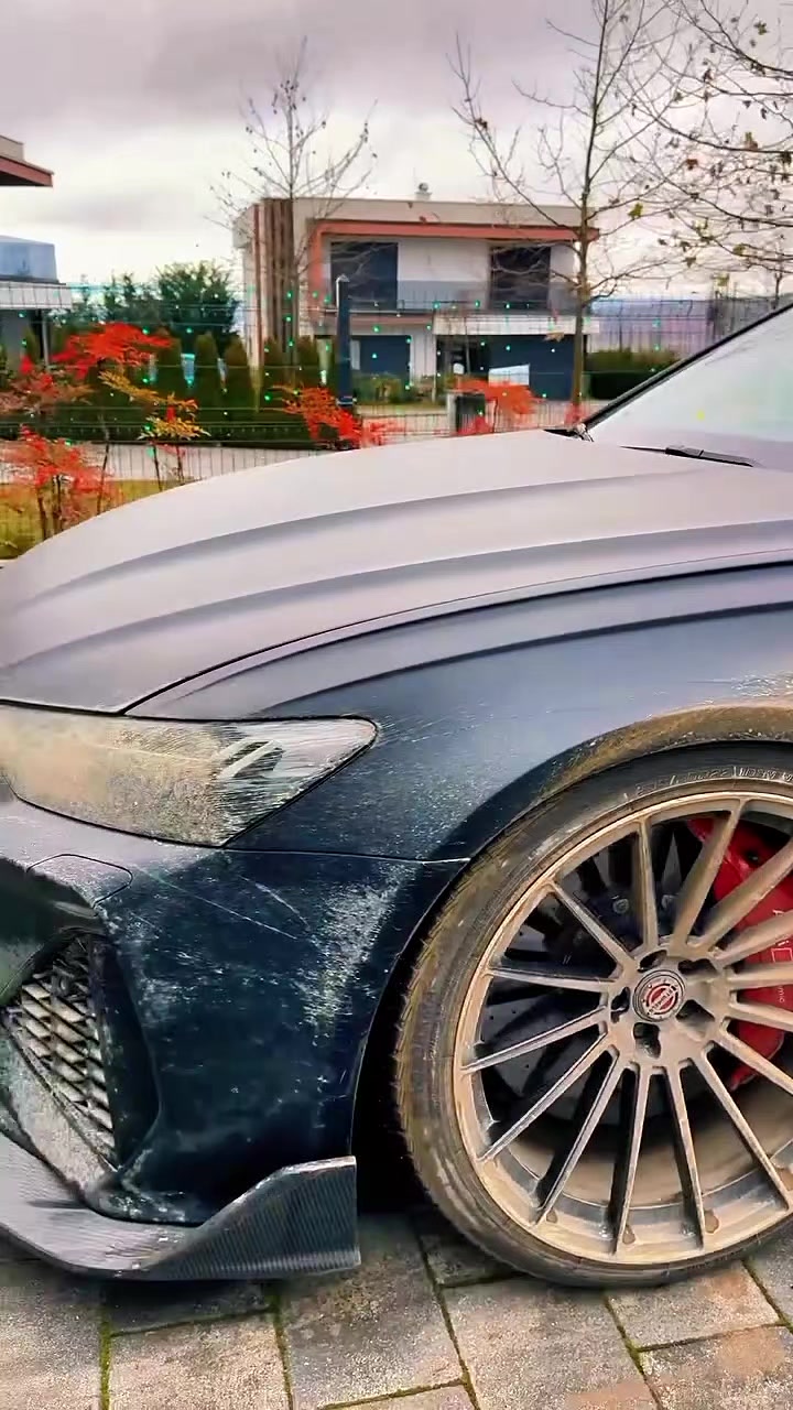 @Dz 🇩🇿