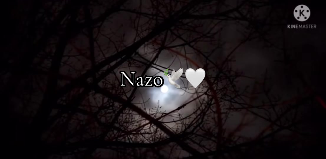 @sahar nazo 🕊️🤍