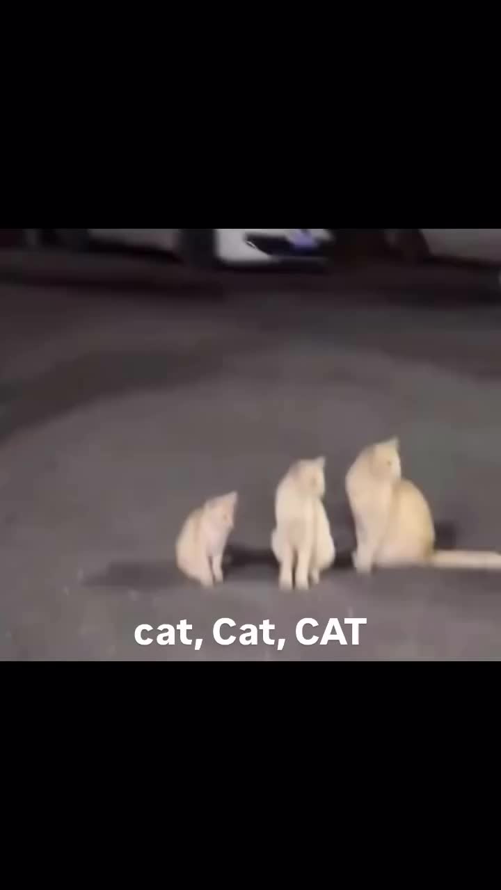 @Michae_38