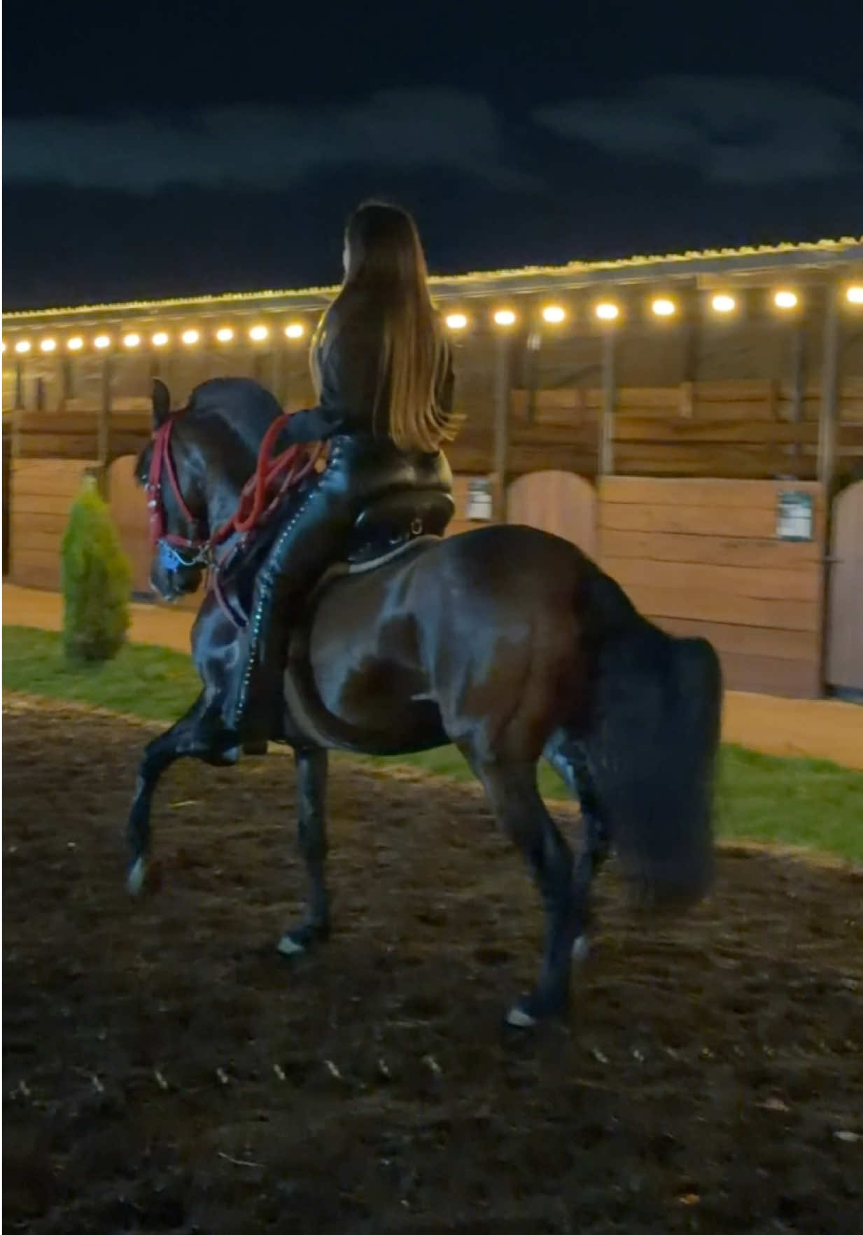 @🐴🧿Estefany🪼🐴