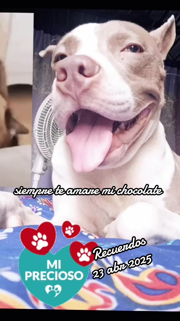@💋CHULITA ELYN 😈🔥