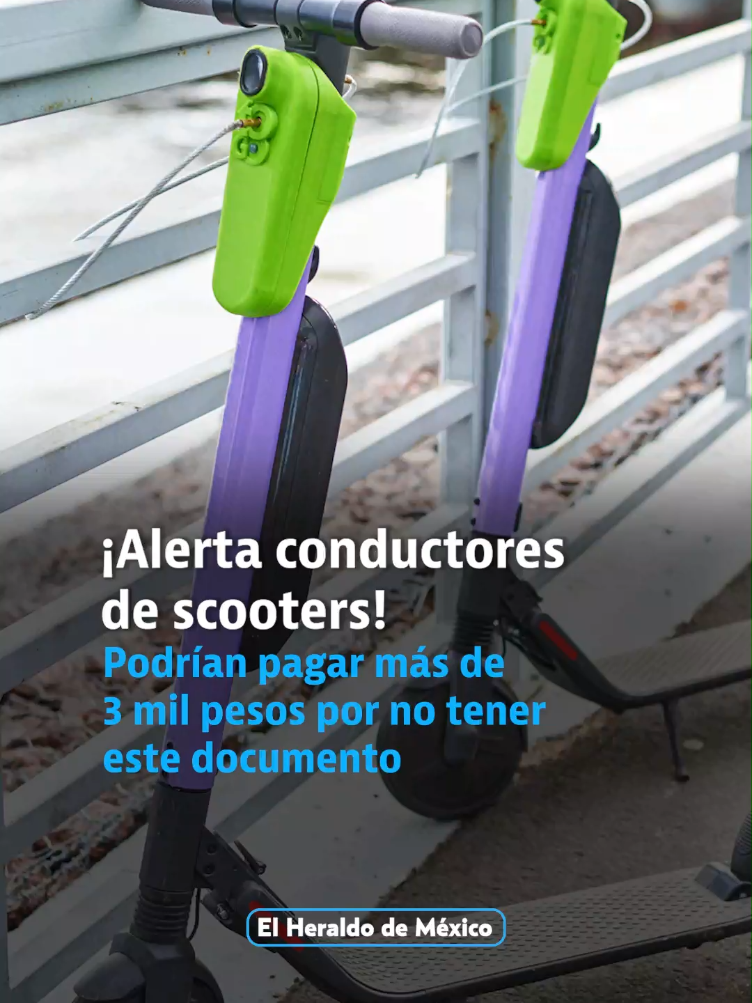 @elheraldodemexico
