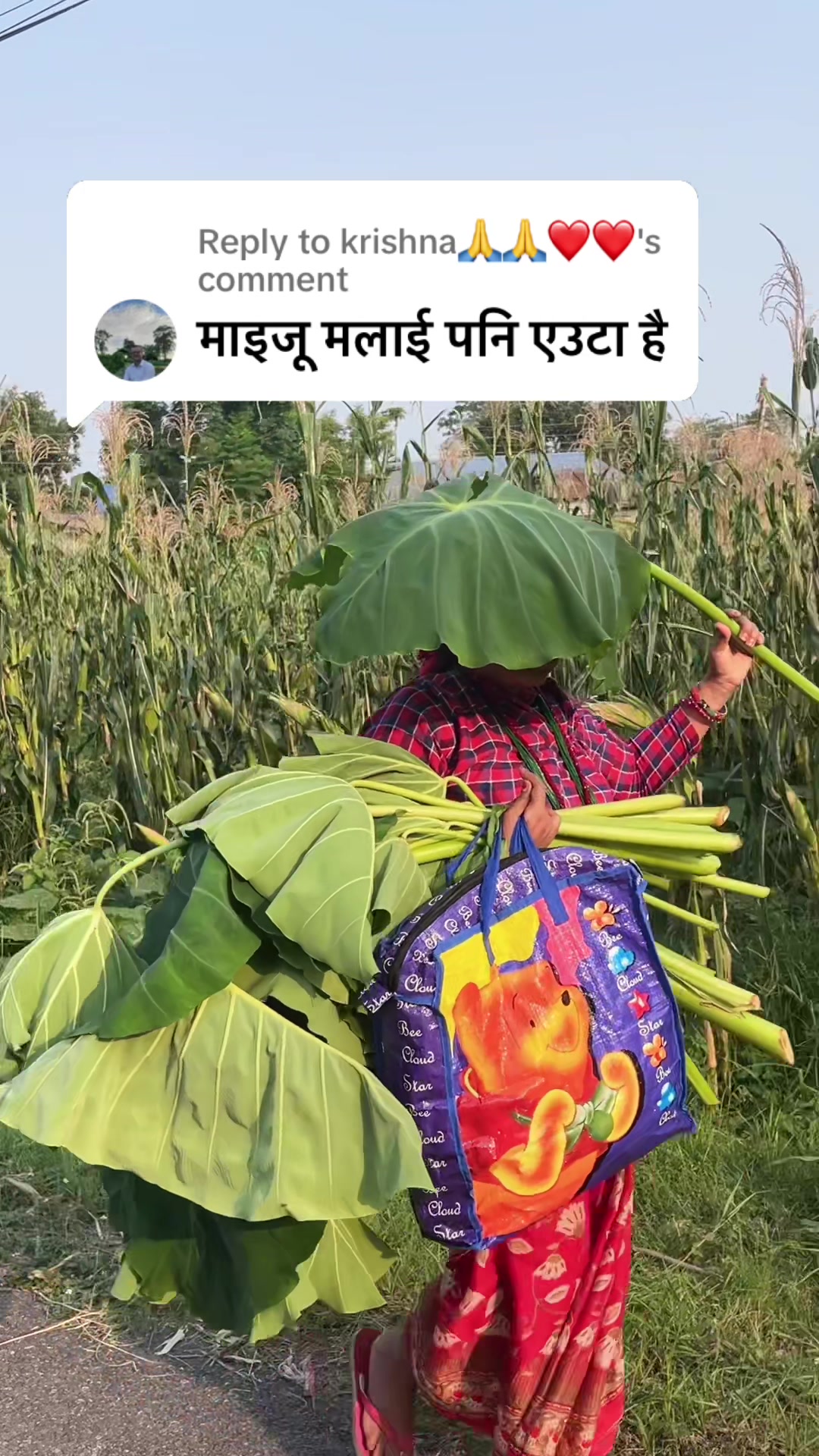 @Rachana