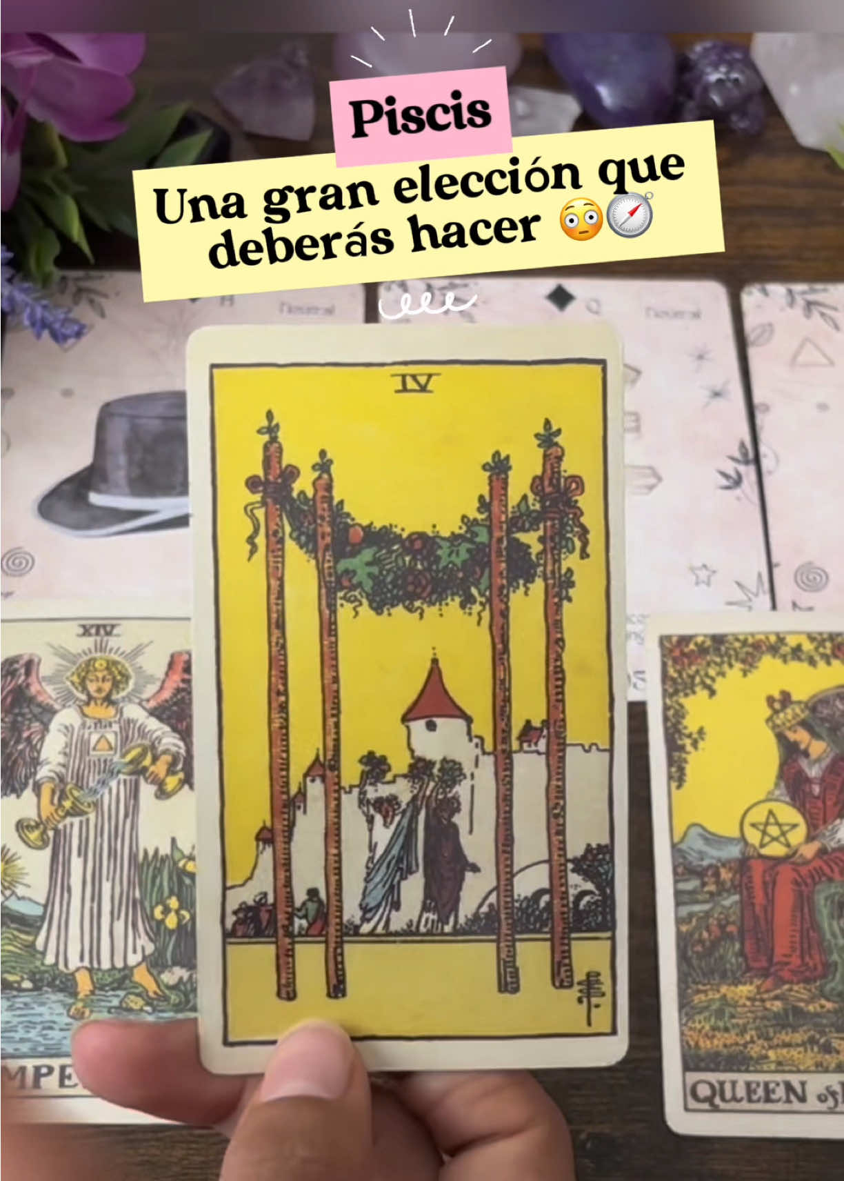 @Andy Sun Tarot ☀️