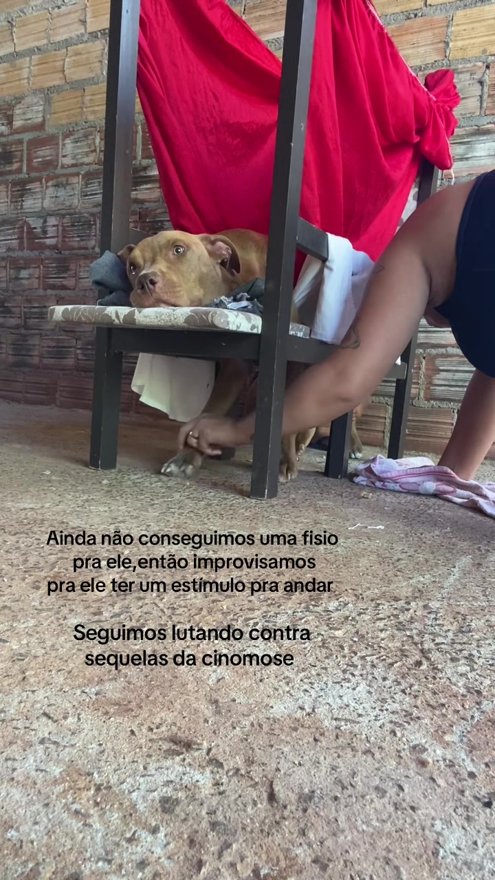 @Vict&oacute;ria Rodrigues