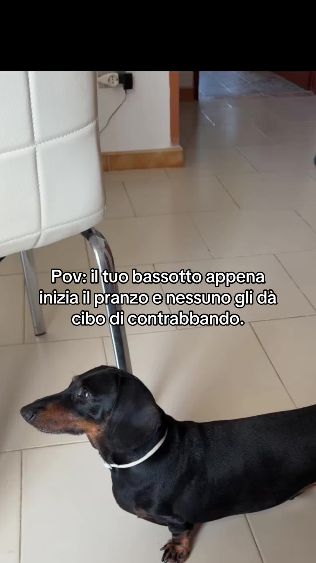 @GL