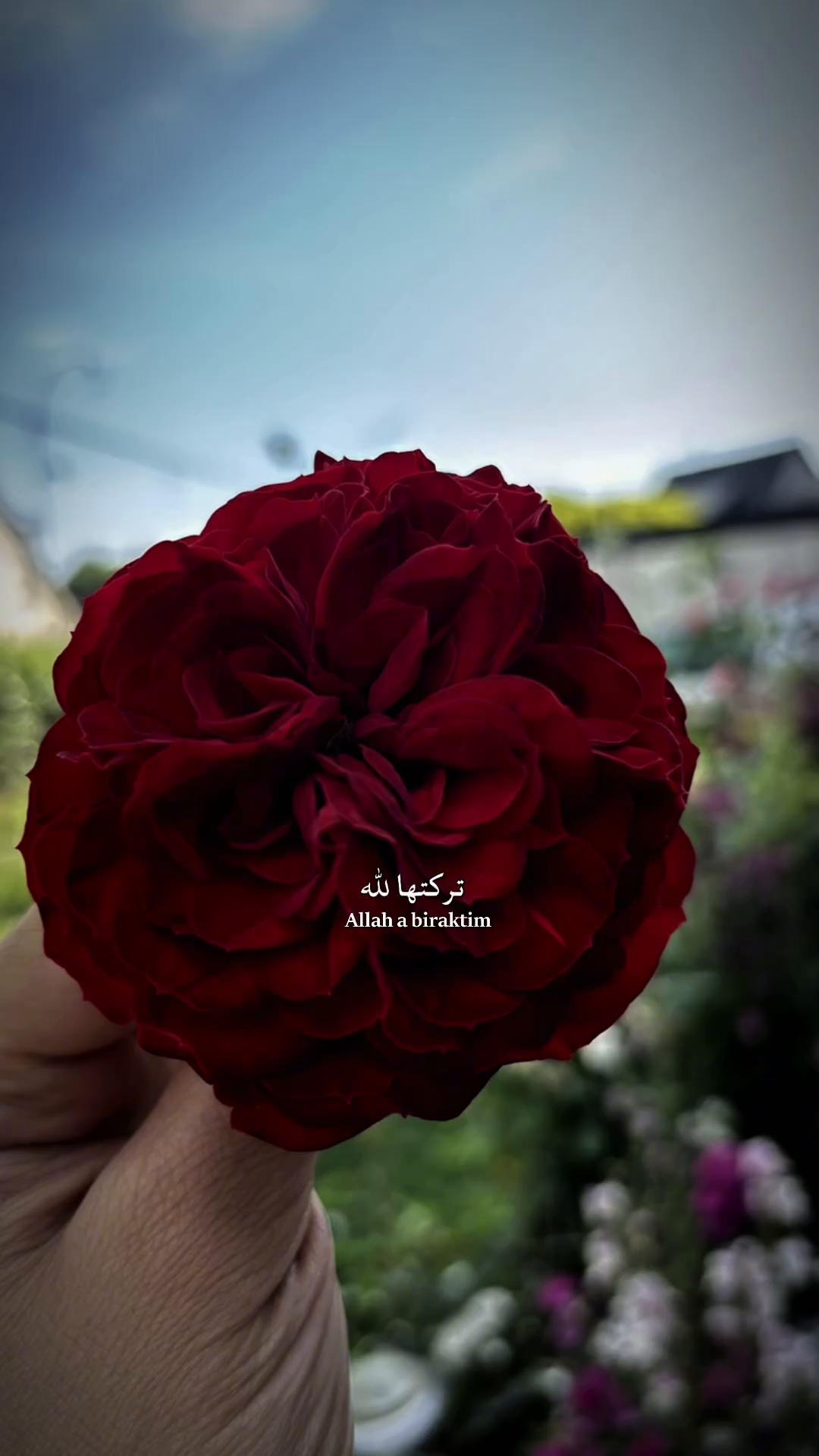 @ɴᴇʀᴠɪɴ|🫀